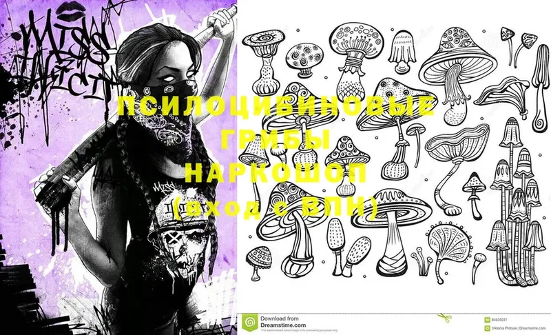 Галлюциногенные грибы Magic Shrooms  Кизел 